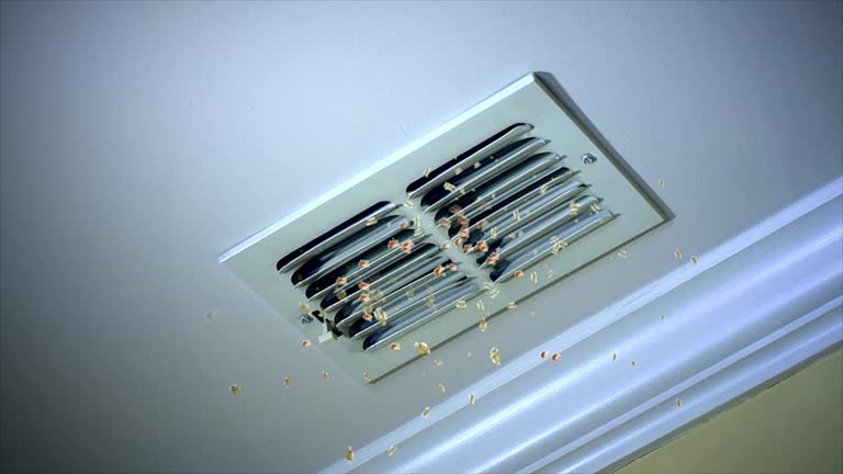 Best Air Duct Cleaning Cost  in Albion, NE