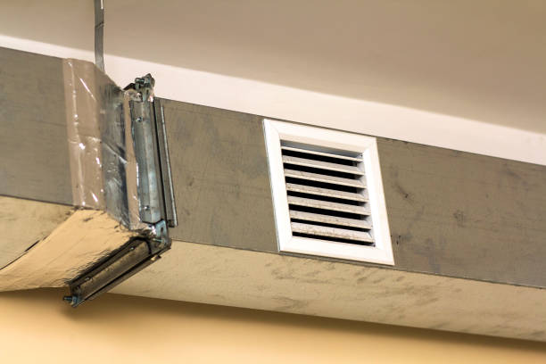 Best Home Air Vent Cleaning  in Albion, NE
